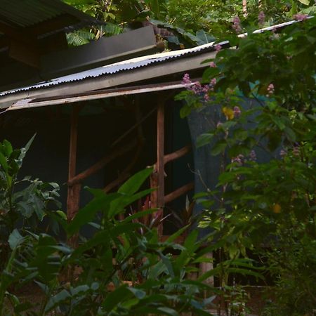 Corcovado Guide House Hotel Barrigones Buitenkant foto