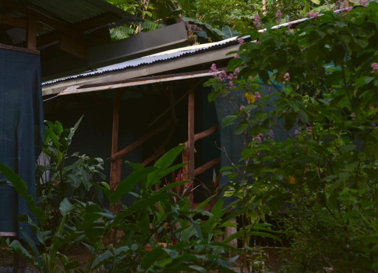 Corcovado Guide House Hotel Barrigones Buitenkant foto