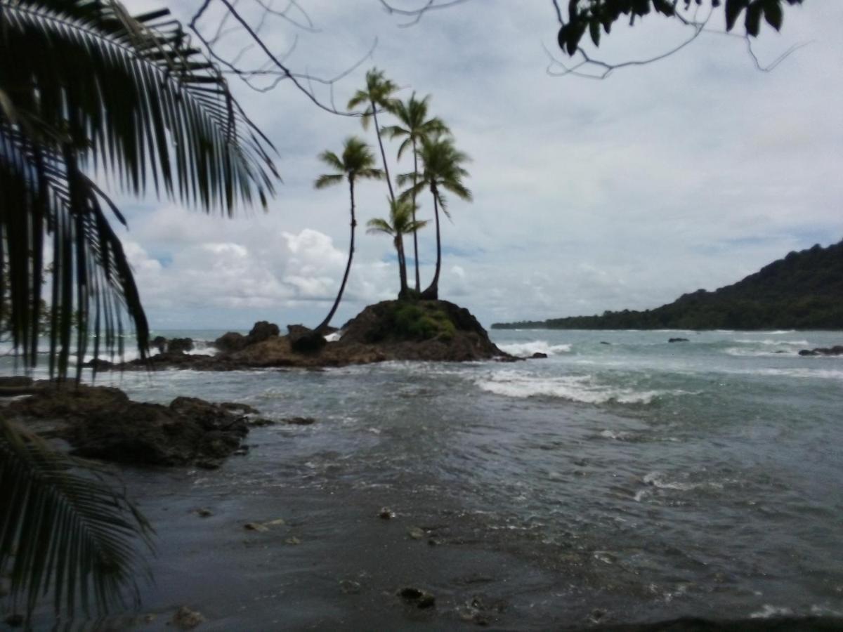 Corcovado Guide House Hotel Barrigones Buitenkant foto